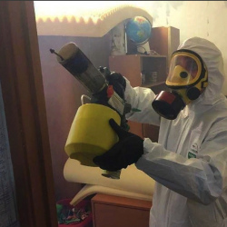 Уничтожение клопов в квартире. Камбарка